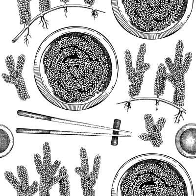 Hand drawn sea grapes seamless pattern. Umibudo salad sketch. Green caviar. Edible seaweed vector background isolated on white background. Asian cuisine texture